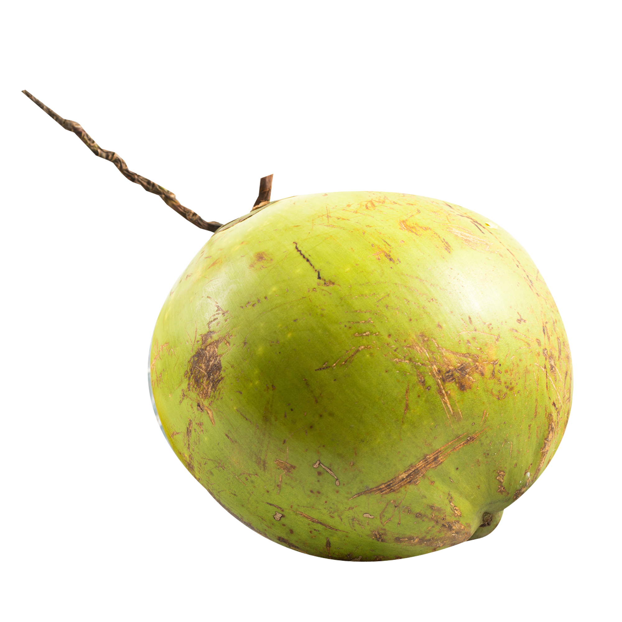 Coconut